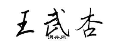 王正良王武杏行書個性簽名怎么寫