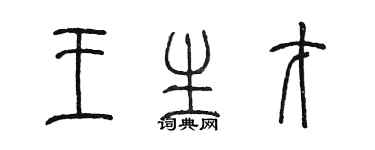 陳墨王生才篆書個性簽名怎么寫