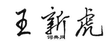 駱恆光王新虎行書個性簽名怎么寫