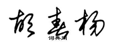 朱錫榮胡春楊草書個性簽名怎么寫