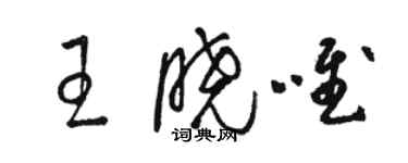 駱恆光王曉唯草書個性簽名怎么寫