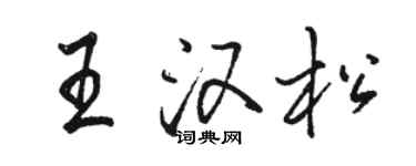 駱恆光王漢松行書個性簽名怎么寫