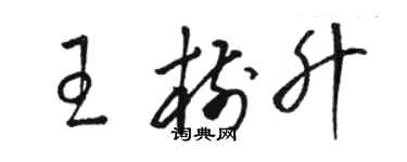 駱恆光王樹升草書個性簽名怎么寫