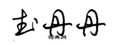 朱錫榮武丹丹草書個性簽名怎么寫