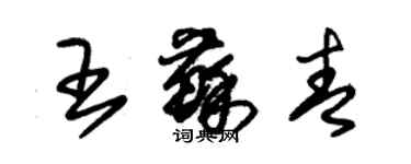 朱錫榮王蘇青草書個性簽名怎么寫