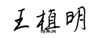 王正良王植明行書個性簽名怎么寫