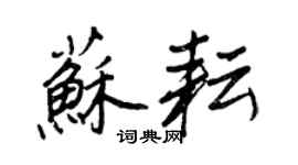 王正良蘇耘行書個性簽名怎么寫