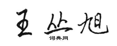 駱恆光王叢旭行書個性簽名怎么寫