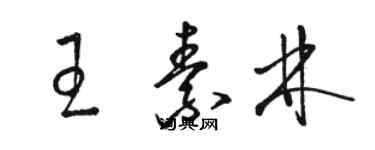 駱恆光王素林草書個性簽名怎么寫