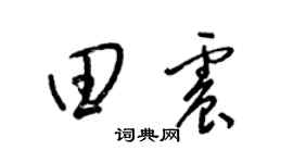梁錦英田震草書個性簽名怎么寫