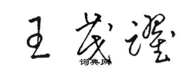 駱恆光王茂躍草書個性簽名怎么寫