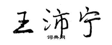 曾慶福王沛寧行書個性簽名怎么寫