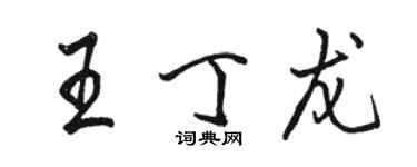 駱恆光王丁龍行書個性簽名怎么寫