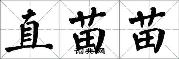 翁闓運直苗苗楷書怎么寫