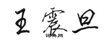 駱恆光王震旦行書個性簽名怎么寫