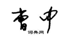 朱錫榮曹中草書個性簽名怎么寫