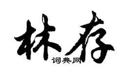 胡問遂林存行書個性簽名怎么寫
