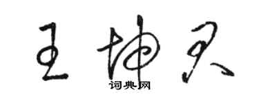 駱恆光王坤君草書個性簽名怎么寫