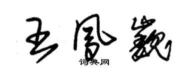 朱錫榮王鳳巍草書個性簽名怎么寫