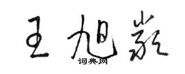 駱恆光王旭嚴草書個性簽名怎么寫