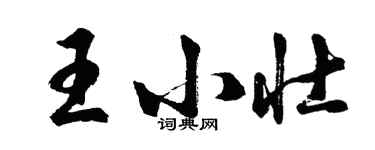 胡問遂王小壯行書個性簽名怎么寫