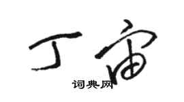 駱恆光丁宙草書個性簽名怎么寫