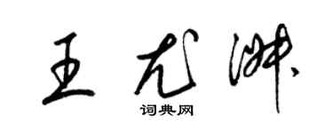 梁錦英王尤淑草書個性簽名怎么寫