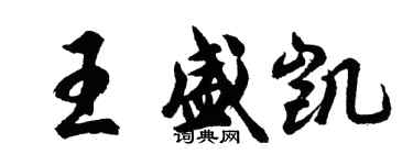 胡問遂王盛凱行書個性簽名怎么寫