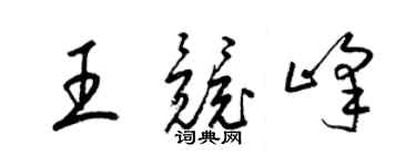 梁錦英王競峰草書個性簽名怎么寫