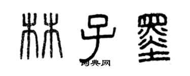 曾慶福林子墨篆書個性簽名怎么寫