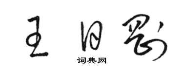 駱恆光王日剛草書個性簽名怎么寫