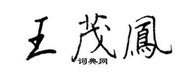王正良王茂鳳行書個性簽名怎么寫