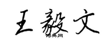 王正良王毅文行書個性簽名怎么寫