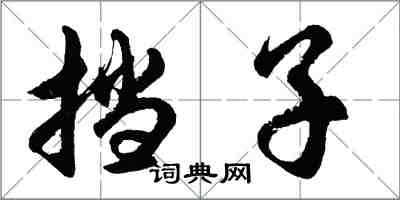 胡問遂擋子行書怎么寫