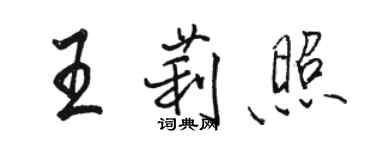 駱恆光王莉照行書個性簽名怎么寫