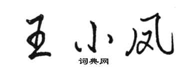 駱恆光王小鳳行書個性簽名怎么寫