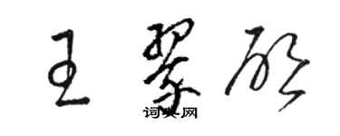 駱恆光王翠啟草書個性簽名怎么寫