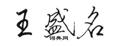 駱恆光王盛名行書個性簽名怎么寫