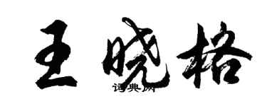 胡問遂王曉格行書個性簽名怎么寫