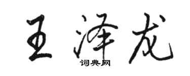 駱恆光王澤龍行書個性簽名怎么寫