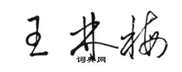 駱恆光王林梅草書個性簽名怎么寫