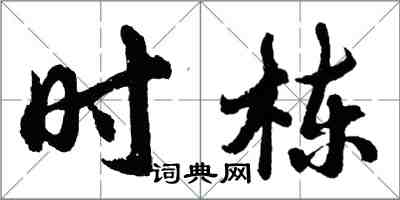 胡問遂時棟行書怎么寫