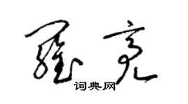 梁錦英羅亮草書個性簽名怎么寫