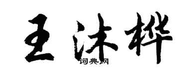 胡問遂王沐樺行書個性簽名怎么寫