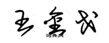 朱錫榮王金戈草書個性簽名怎么寫