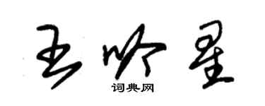 朱錫榮王吟星草書個性簽名怎么寫