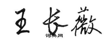 駱恆光王長薇行書個性簽名怎么寫