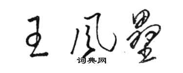 駱恆光王風壘草書個性簽名怎么寫