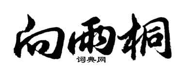 胡問遂向雨桐行書個性簽名怎么寫