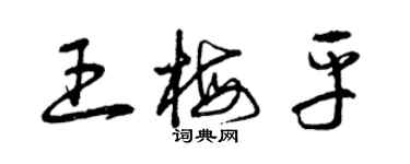 曾慶福王梅平草書個性簽名怎么寫